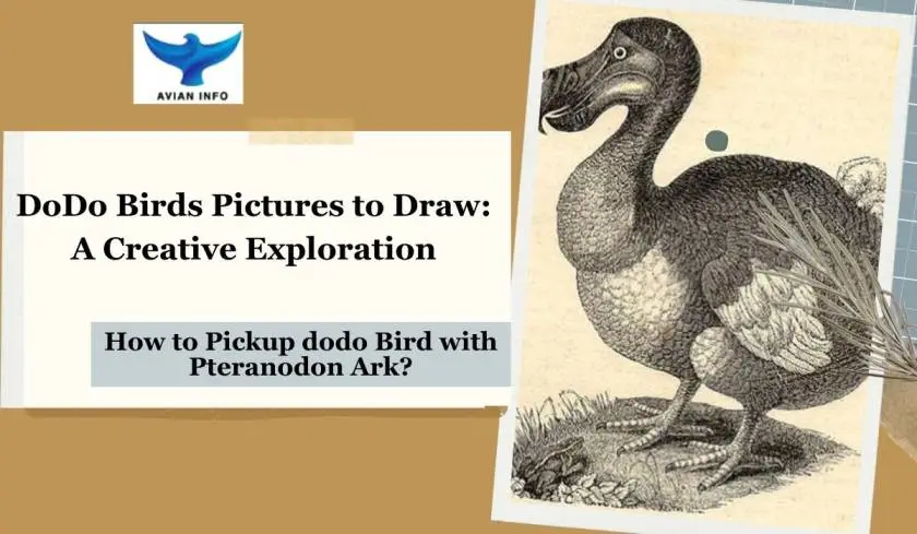 Dodo Birds Pictures to Draw: A Creative Exploration